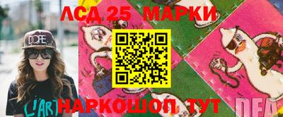 шишки Ставрополь