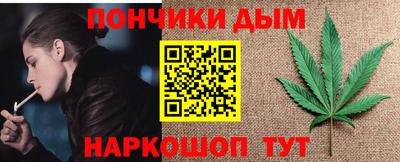шишки Ставрополь