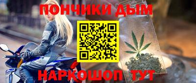 шишки Ставрополь