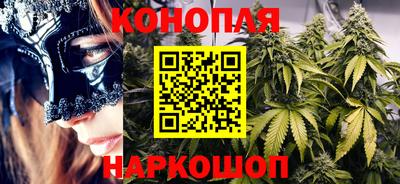 Альфа ПВП Тверь