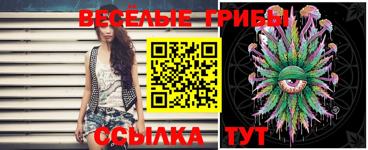 Галлюциногенные грибы прущие грибы Новоуральск