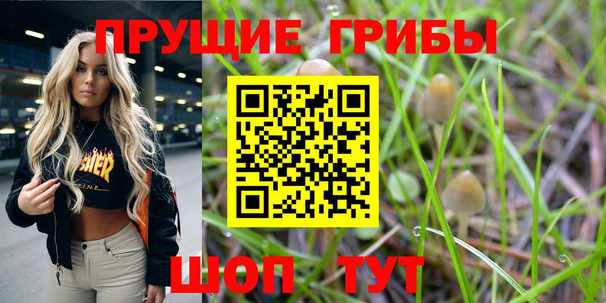 Новоуральск  Псилоцибиновые грибы мицелий  Вход с VPN  Псилоцибиновые грибы прущие грибы 